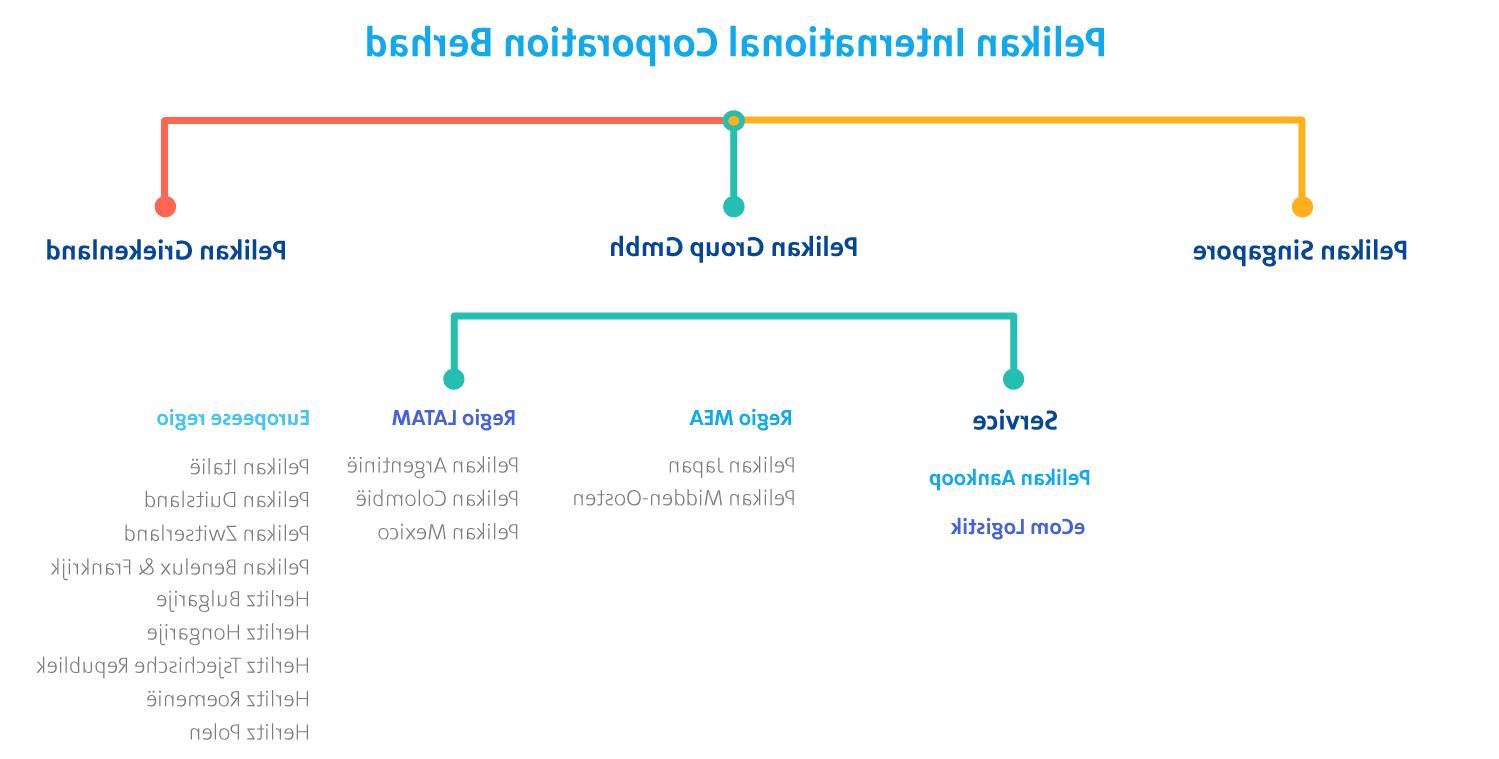 conceptual map